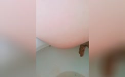 Wife shits two times in toilet