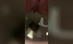 Spying on a shaved babe pooping